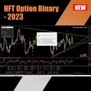 HFT Option Binary - 2023