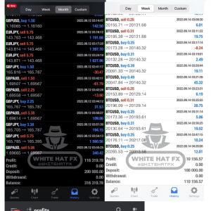 White Hat FX V2.0_fix1420 - Image 7