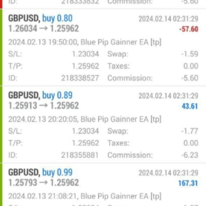 BLUE PIP GAINNER EA MT4 FOR BUILD 1420+ - Image 4