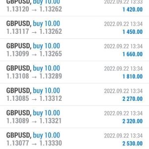 Expert Surf Market 7 Days MT4 1420: Best Forex EA for 2024 - Image 5