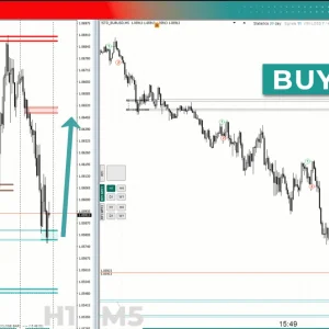 TPSPRO RFI LEVELS INDICATOR MT4 FOR BUILD 1420+ Download - Image 3