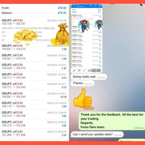 Forex Flare EA MT4 & MT5 with SetFiles ( build 1421+) - Image 5