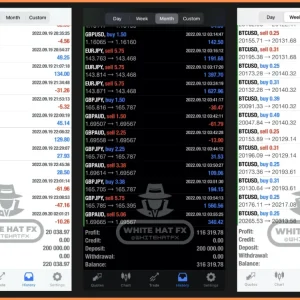 WHITE HAT FX EA V3.1 MT5 DOWNLOAD - Image 2
