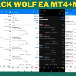 Black Wolf EA MT4 / MT5 working version with setfile (Platform build 1422+) Download - Image 3