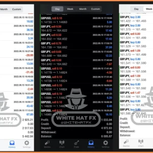 WHITE HAT FX EA V3.1 MT5 DOWNLOAD - Image 3