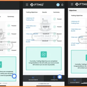 WHITE HAT FX EA V3.1 MT5 DOWNLOAD - Image 4