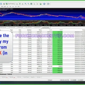 TRADE SCALPER SUPERNOVA EA + setfile + Indicator 1420 Download - Image 5