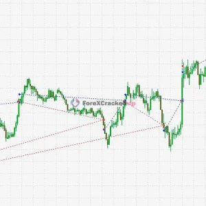 black-wolf-mt4-mt5-live-trading (1)