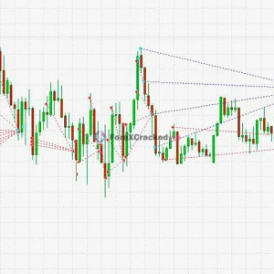 black-wolf-mt4-mt5-live-trading (2)