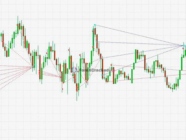 black-wolf-mt4-mt5-live-trading (2)