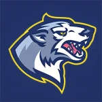 Black Wolf EA MT4 / MT5 + set files | Unlimited