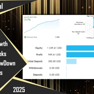 CyNera EA MT4 V4.62 With setfile – 418% Growth Download - Image 5