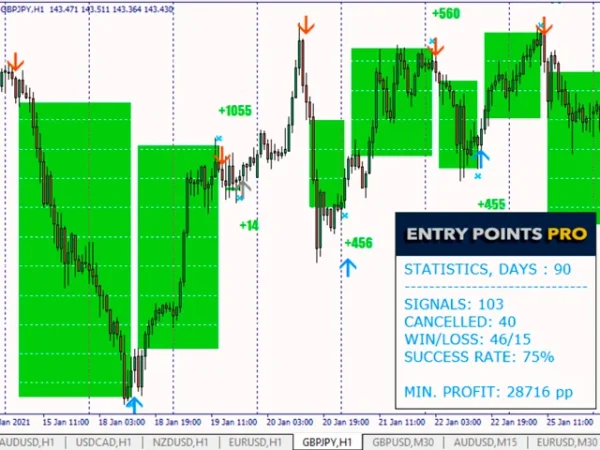 Entry Points Pro - accurate signals to enter a trade without repainting - Image 2