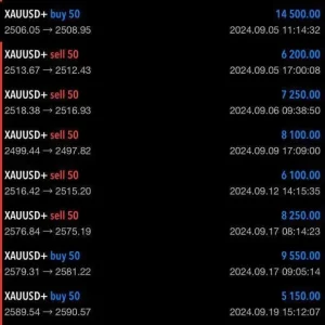 TRADEPILOT GOLD EA MT4 V2.0 With setfiles MT4 Build 1428+ Download - Image 4