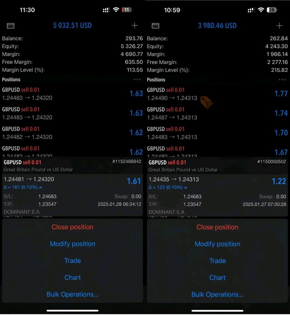 Dominant EA Review