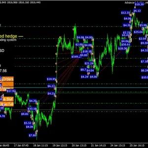 Advanced Hedge MT4 v4.0 + SetFiles (Platform build 1431+) Download - Image 4