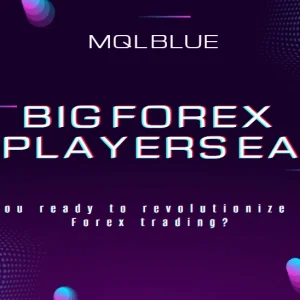 Big Forex Players EA MT4 V3.1 – Original Version (Build 1430+ ) Download - Image 5