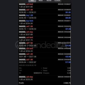 FUNDEDEA PREMIUM EA MT4 V2 + SETFILES BUILD 1441+ Download - Image 4