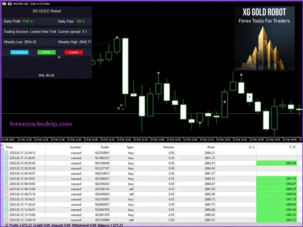 XG Gold Robot MT4 Backtest Report