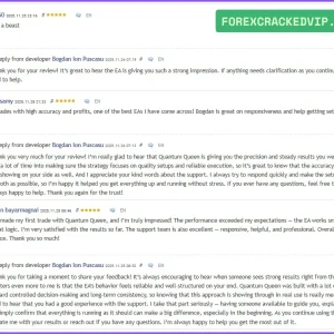 quantum queen mt5 reviews