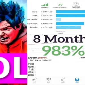 YOLO DIAMOND HANDS EA MT4