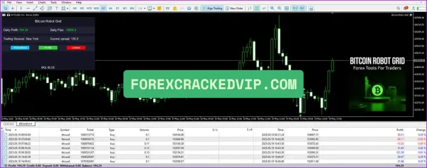 Bitcoin Robot Grid MT4 result