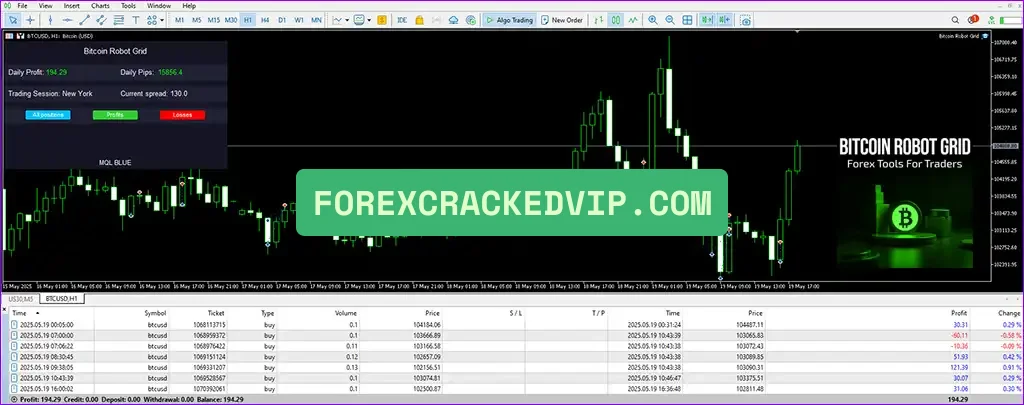 Bitcoin Robot Grid MT4 result