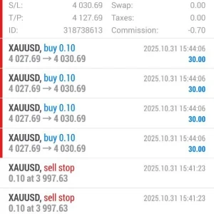 DS Gold Robot MT4 profit