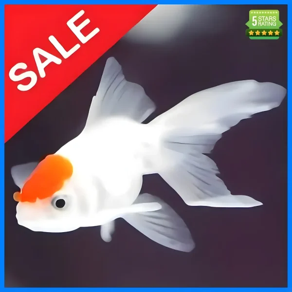 xsaaxaxaxas Fish n Grid EA MT4