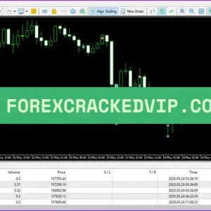 Bitcoin Robot Grid MT4 – Best BTCUSD Grid Trading EA 2025 | Automated Bitcoin Forex Robot - Image 6