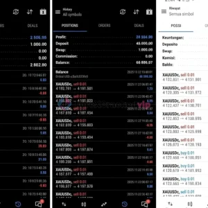 Buster Barbar EA MT5 Result-forex-cracked-vip