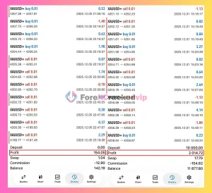 JS-Hedging-Pro-EA-Trading-Results 1-forexcrackedvip.com