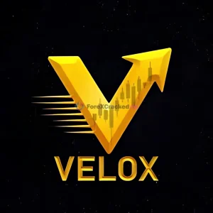 velox scalper (xau) mt5 Logo-forex-cracked-vip