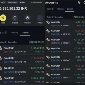 Highly Profitable Gold Scalper for MT5 Review 2-forex-cracked-vip