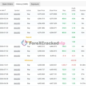 NKV EA MT5 with SetFiles MYFXBook Review 1.2-forex-cracked-vip
