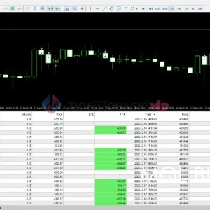 XG Gold Robot MT5 Review 2-forex-cracked-vip