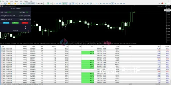 XG Gold Robot MT5 Review 2-forex-cracked-vip