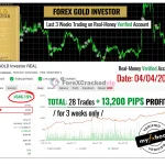 Forex GOLD Investor-mt5-group-buy-original license key genuine product key backtest 1-forexcrackedvip