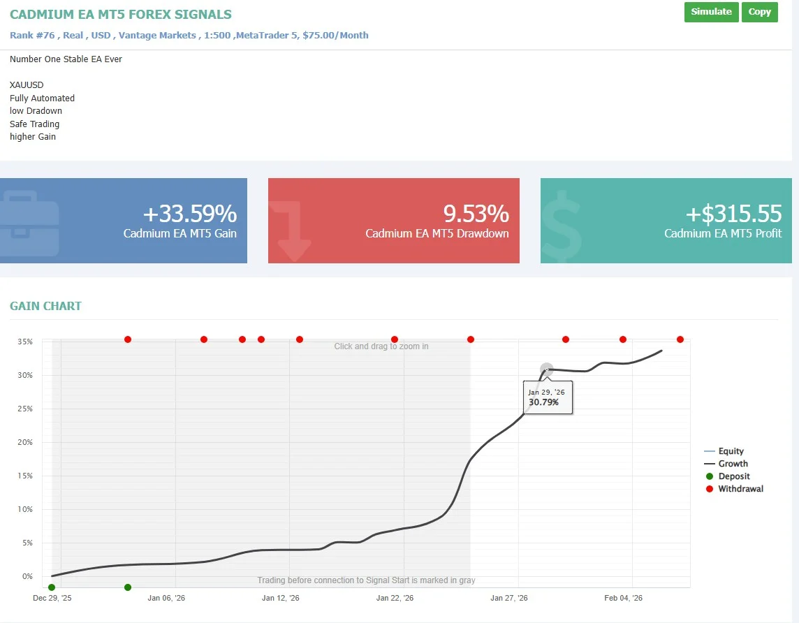 Low Drawdown Forex Copy Trading