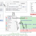 Tradeassist mt5-group-buy-original license key genuine product key backtest2-forexcrackedvip