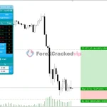 Tradeassist mt5-group-buy-original license key genuine product key backtest5-forexcrackedvip