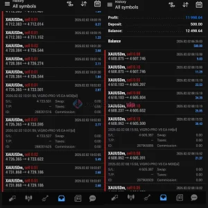 VIGRO PRO V5 EA MT4 Review-forex-cracked-vip