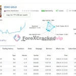 Zeno EA MT5 - Group Buy | Original License Key | Genuine Product Key