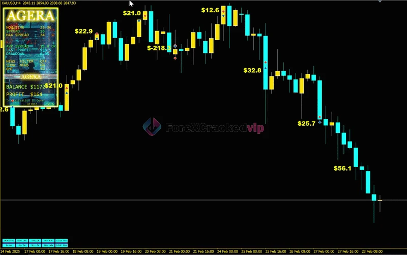 Agera-mt5-group-buy-original license key genuine product key backtest 1-forexcrackedvip