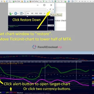 TickUnit Scalper Currency Strength28 PRO Review 3-3