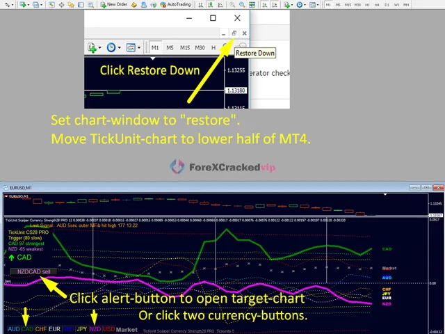TickUnit Scalper Currency Strength28 PRO Review 3-3