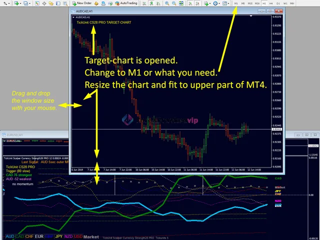 TickUnit Scalper Currency Strength28 PRO Review 4-4