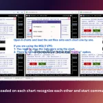 VolumeHedger-ea-mt5-group-buy-original license key genuine product key backtest 6-forexcrackedvip