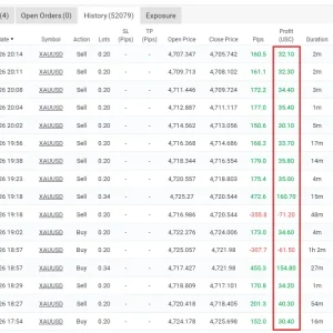 Alpha Tactical Machine BOT MT5 - MYFXBook 1851% Gain | Unlimited - Image 4