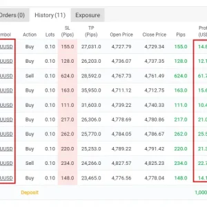 Gold One Shot Expert MT4 MYFXBook Result 2